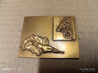 Bronzová plaketa , rozměry 50x62x2,5mm