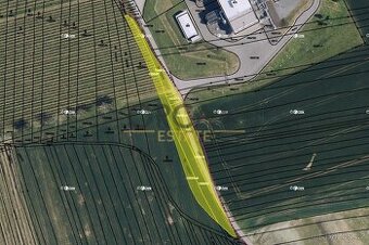 0,3 ha pozemků v k.ú. Dambořice