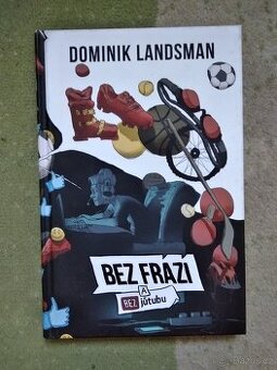 Bez frází a bez jůtubu, Landsman