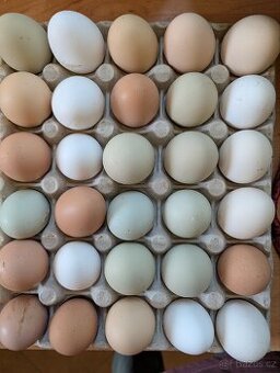 Domácí vajíčka
