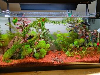 Akvárium Juwel 60l