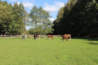 ustájení na Příbramsku