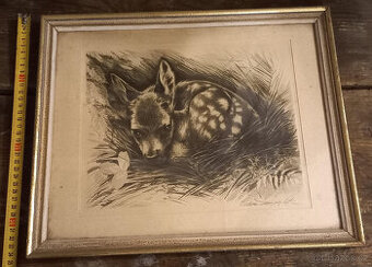 LEŽÍCÍ KOLOUCH - VAIC ALEŠA