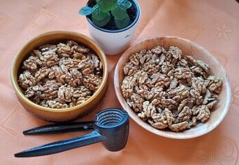 Letošní loupané vlašské ořechy TOP