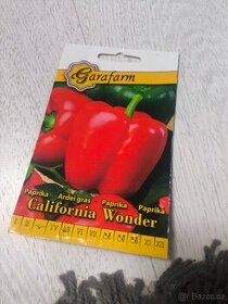 Sazenice rostlinky červená paprika