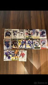 Hokejové kartičky - 1