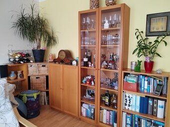 Sestava Billy - Ikea