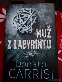 Muž z labyrintu