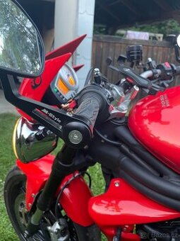 Triumph Speed Triple 2009 - 1