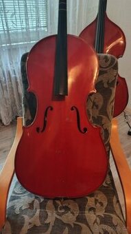 Violoncello