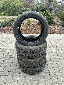255/50 R19 235/55 R19 zimní