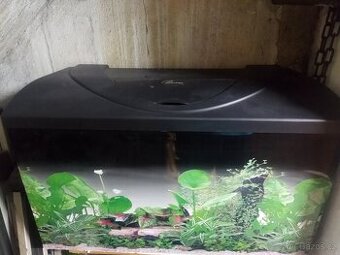 Akvarium