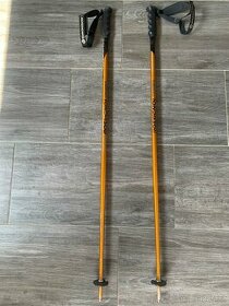 Lyžařské hůlky