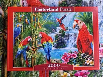 Puzzle 2000 Castorland/Setkání papoušků