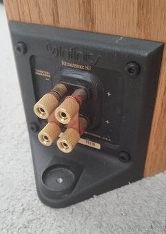 Infinity Renaissance 80/90 - terminály