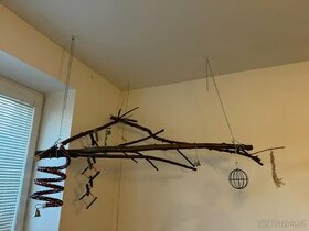 Hřiště pro papoušky