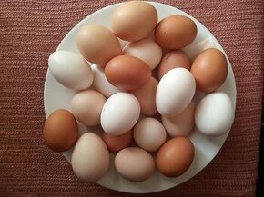 Čerstva vajíčka