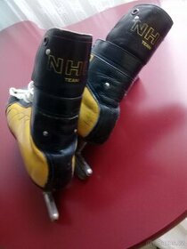 Brusle NHL - 1