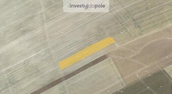 Prodej pole v k.ú. Novosedly u Rakovníka