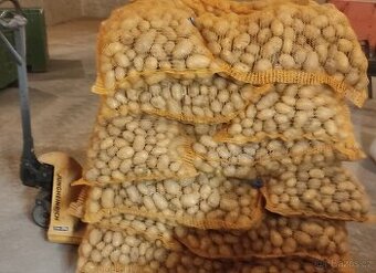 brambory k uskladnění/ netříděné .