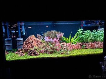 Akvárium Juwel Rio 180 + skříňka Juwel