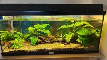 Akvárium se skřínkou