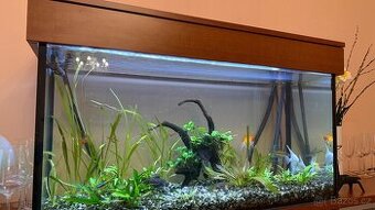 Akvárium 200 l