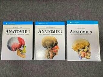 anatomie - čihak