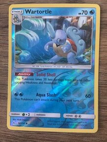 Pokemon WARTORTLE