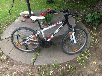 AUTHOR a-matrix MTB Junior vel. 15´´, kola 24´´