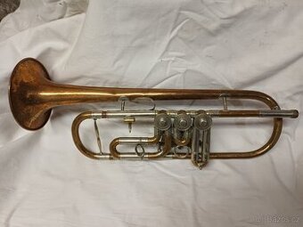 Mosazná trumpeta