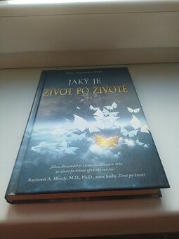 Jaký je život po životě - Eben Alexander