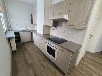 2+1/L, 59m2, Hornická, Ústí nad Labem