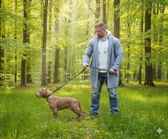 American bully - ch.s. Family Muscle Bullies