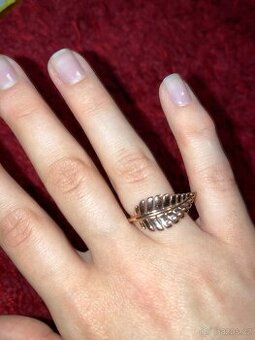 Prsten RSG Pierre Lang