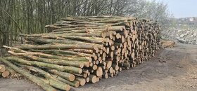 Palivové dřevo tvrdé- velkoodběr