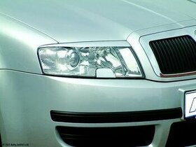 Prodam mracitka Skoda Superb 1