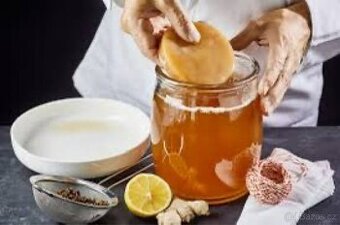 Domácí kombucha