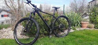 4EVER TRINITY TEAM DARK WINE/BRONZE r. 2023, ,,29"