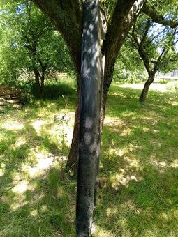 BMW e65 Prahy plastové