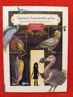 TAJEMSTVÍ KOUZELNÉHO PÍRKA - V.Šoltys