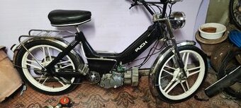 Puch maxi n
