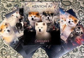 Kalendář Akita Inu 2026
