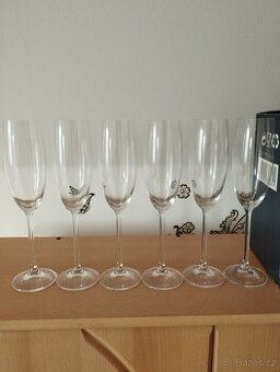 Šampusky 6ks Bohemia