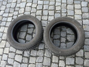 ZIMNÍ PNEU VREDESTEIN 195/55R15