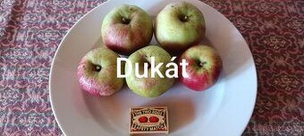 Prodám česaná jablka Dukát  bez postřiků