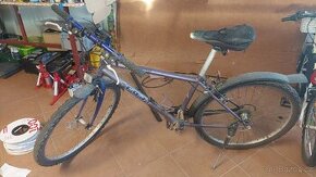 Kolo 26"