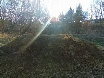 Hnůj