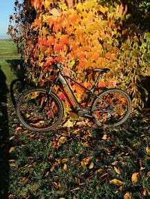 elektrokolo Cycleman MEB08 29"