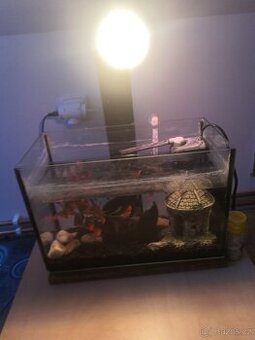 Akvarium